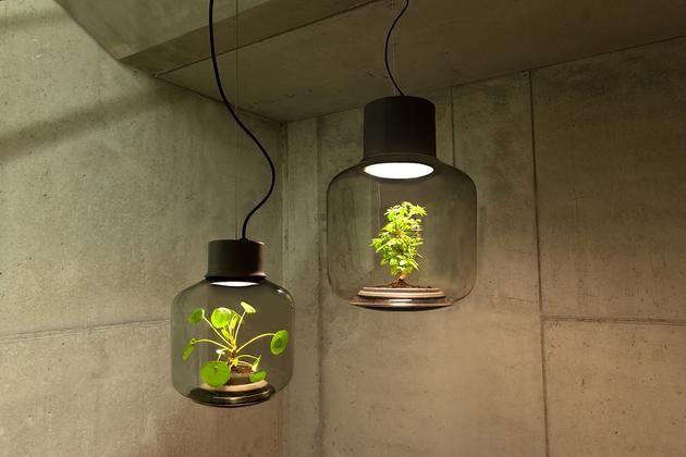 將植物放在一款密閉的LED燈具中能持續(xù)生長(zhǎng)嗎？